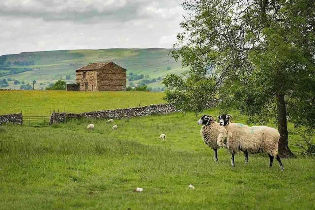Westside Cottage, Newby, Clapham, Yorkshire Dales National Park, Famous Three Peaks, Near The Lake District, Pets Are Welcome Newby  Exterior foto